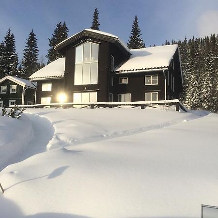 Villa Edvinsvaeg 8 Are Bagian luar foto
