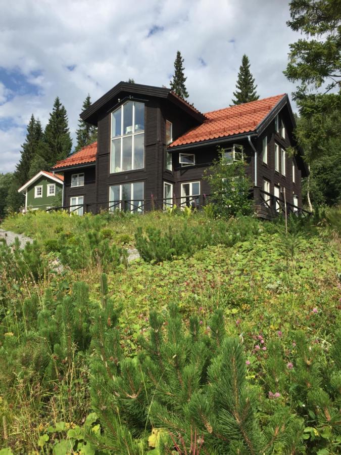 Villa Edvinsvaeg 8 Are Bagian luar foto